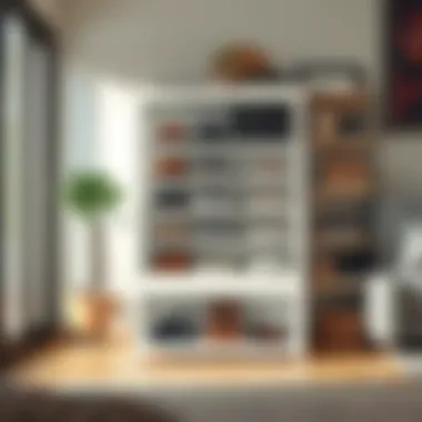 Space-Saving Shoe Storage Option Compact shoe storage solution for small spaces