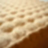 The Unique Texture of Coir Mattress Toppers Natural coir mattress topper showcasing its texture and structure