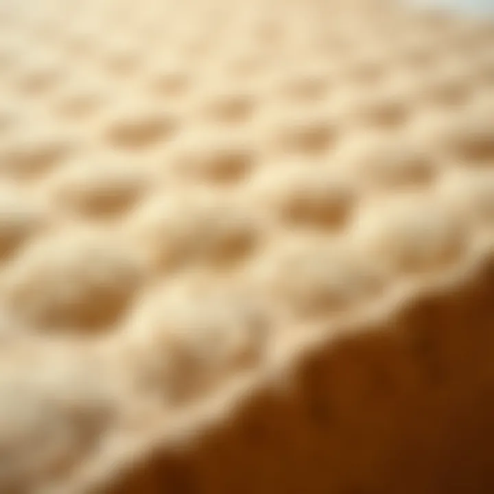 The Unique Texture of Coir Mattress Toppers Natural coir mattress topper showcasing its texture and structure