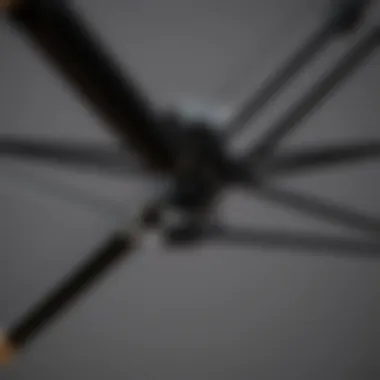 Materials and Craftsmanship of Black Patio Umbrella Detailed view of the materials used in the black patio umbrella