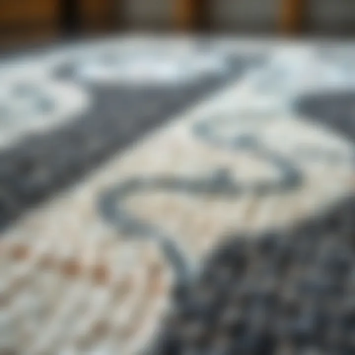 Close-Up of a Farmhouse Area Rug's Texture and Design Close-up of the texture and design of a 6 x 9 farmhouse area rug