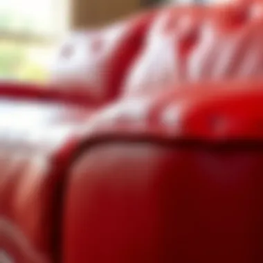 Detail of Red Leather Texture Close-up of red leather texture on sectional sofa