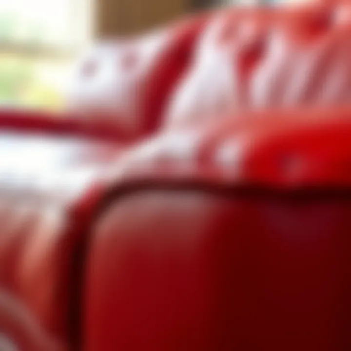 Detail of Red Leather Texture Close-up of red leather texture on sectional sofa