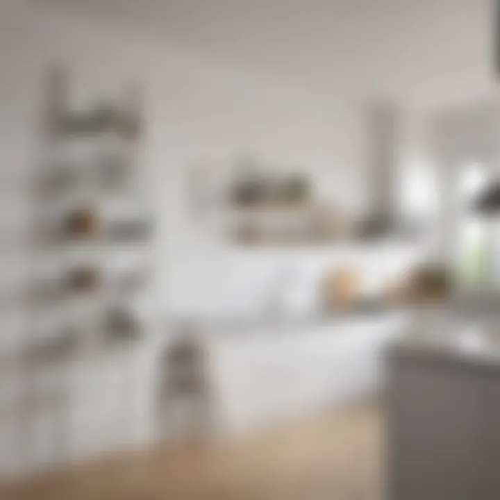 Functional white wall ladder in a chic kitchen showcasing kitchenware and decor